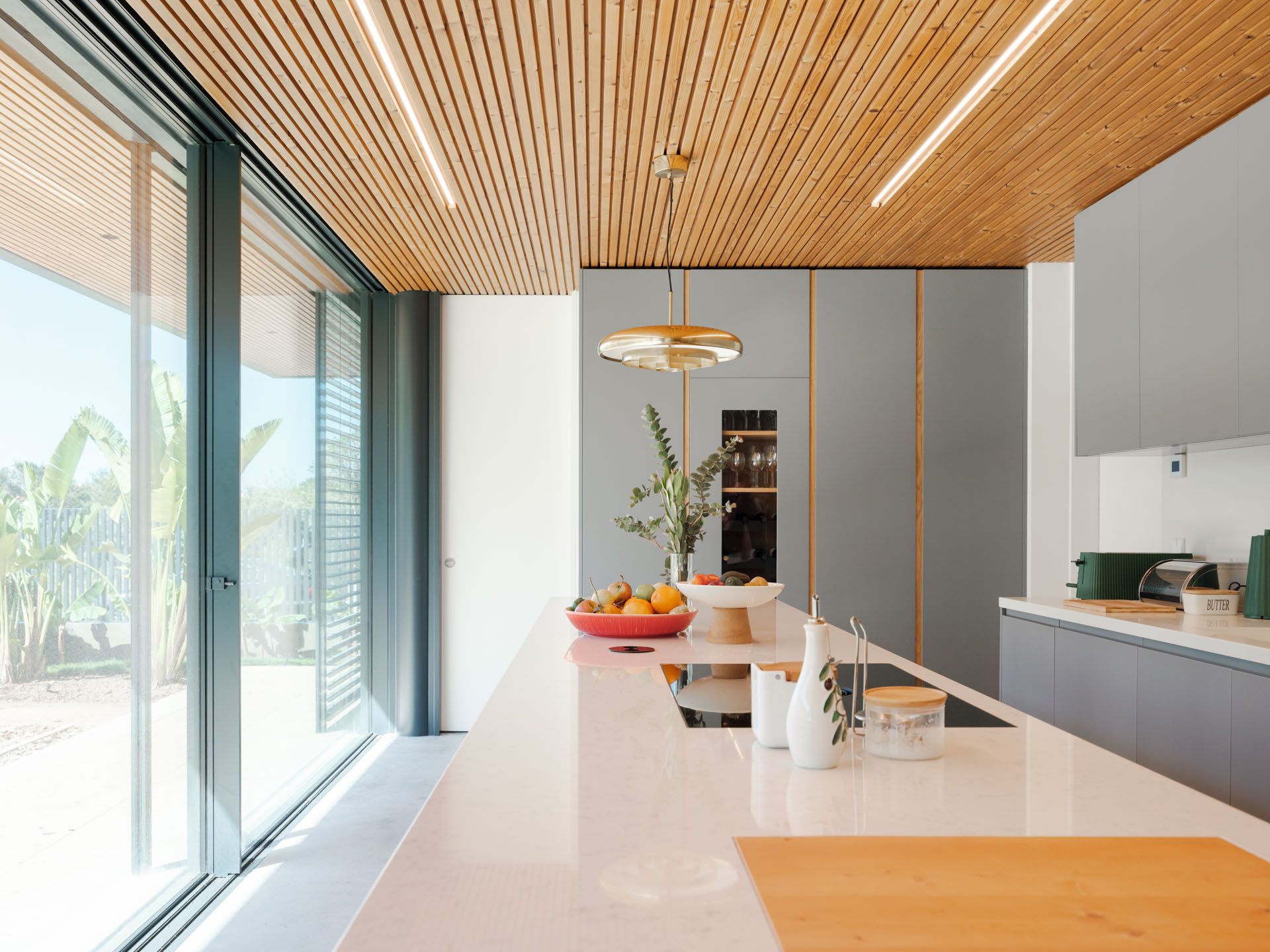 Sardinheiras Koklatt 7855