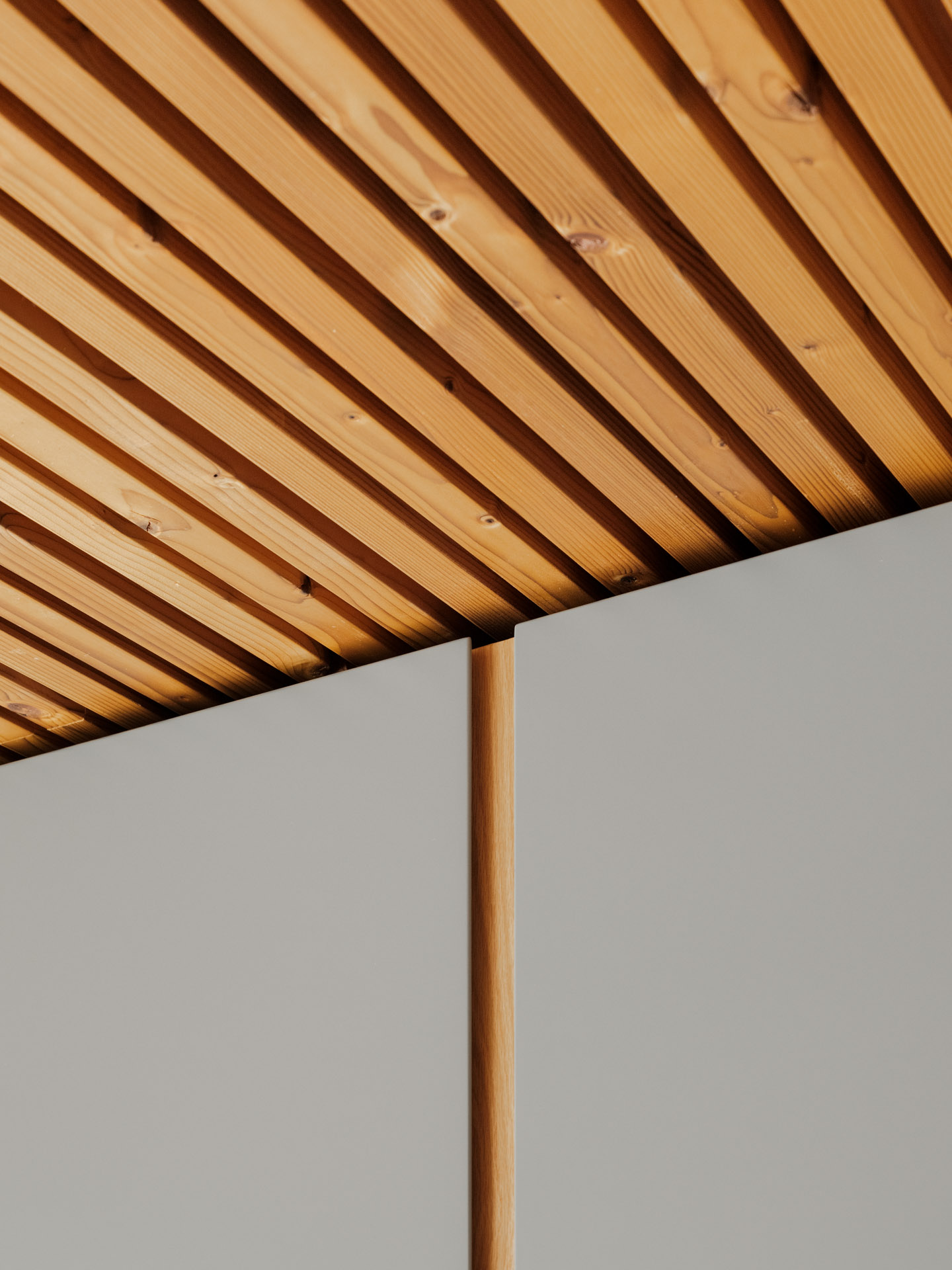 Sardinheiras Koklatt 7879